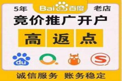 行业专家解读：专业SEM托管的五大成功案例